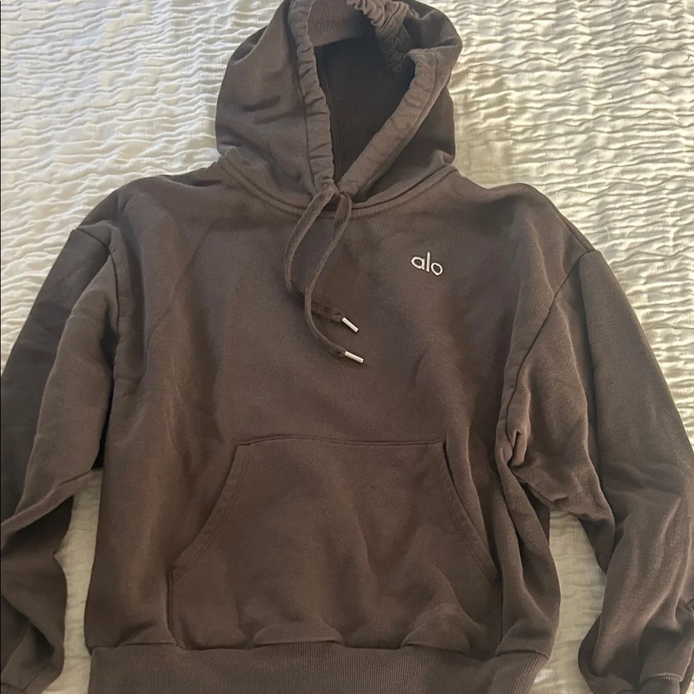ALO Yoga Men's Chocolate Hoodie - Picture 1 of 1